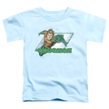 Aquaman Aquaman - Toddler T-Shirt Style002 Hoodie, Sweatshirt | ZylaModa.com