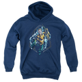 Aquaman Thrashing - Youth Hoodie T-Shirts, Sweatshirt | ZylaModa.com