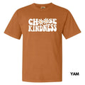 Kindness Chooser Comfort Colors T-Shirt 'NLB' Hoodie, Sweatshirt | ZylaModa.com