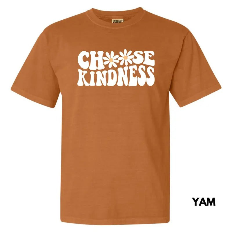 Kindness Chooser Comfort Colors T-Shirt 'NLB' Hoodie, Sweatshirt | ZylaModa.com