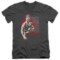 Bloodsport To The Death - Men's V-Neck T-Shirt Hoodie, Sweatshirt | ZylaModa.com