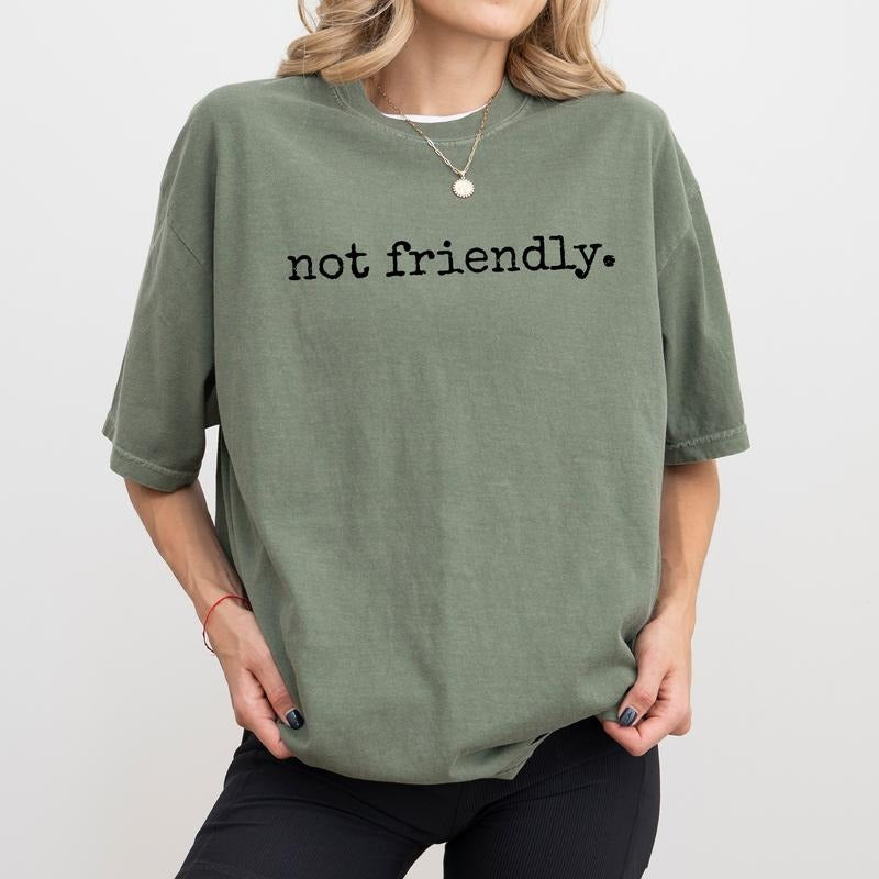 Not Friendly Comfort Colors Shirt, Funny Not Friendly Don't Touch Graphic Tee, Sarcastic Women Unhinged Tees, Funny...
