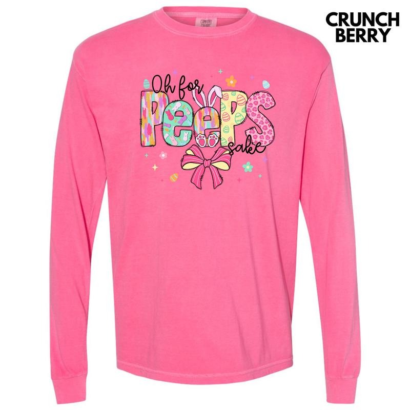 Oh For Peeps Sake Long Sleeve Comfort Colors T-Shirt Hoodie, Sweatshirt | ZylaModa.com