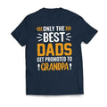 Only The Best DADS Are Promoted To GRANDPA Father's Day Men's T-Shirt Casual Classic Hoodie, Sweatshirt | ZylaModa.com