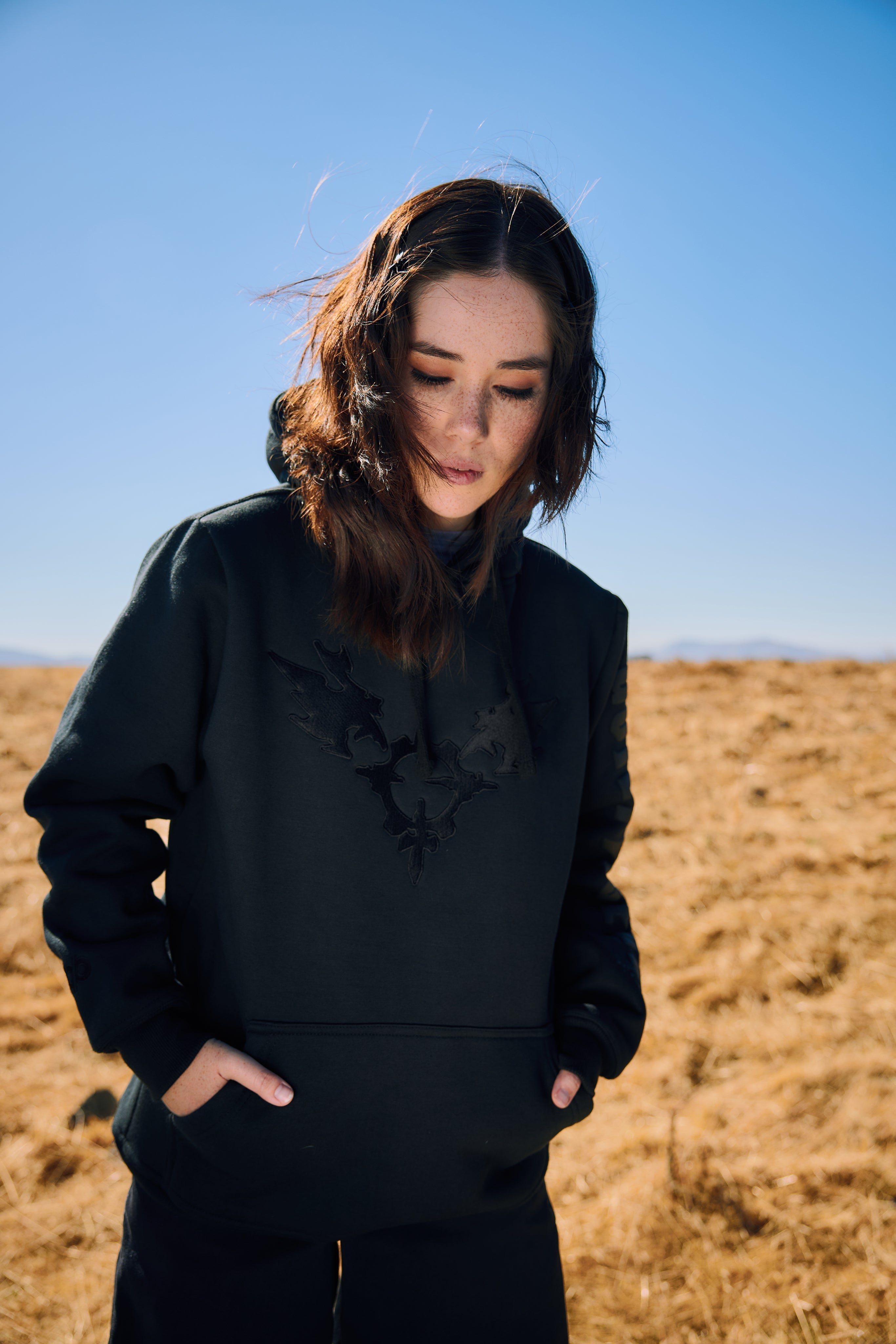 GUILTY GEAR - 'Strive Crest' Premium Embroidered Pullover Hoodie - Black T-Shirts, Sweatshirt | ZylaModa.com (Image 1)