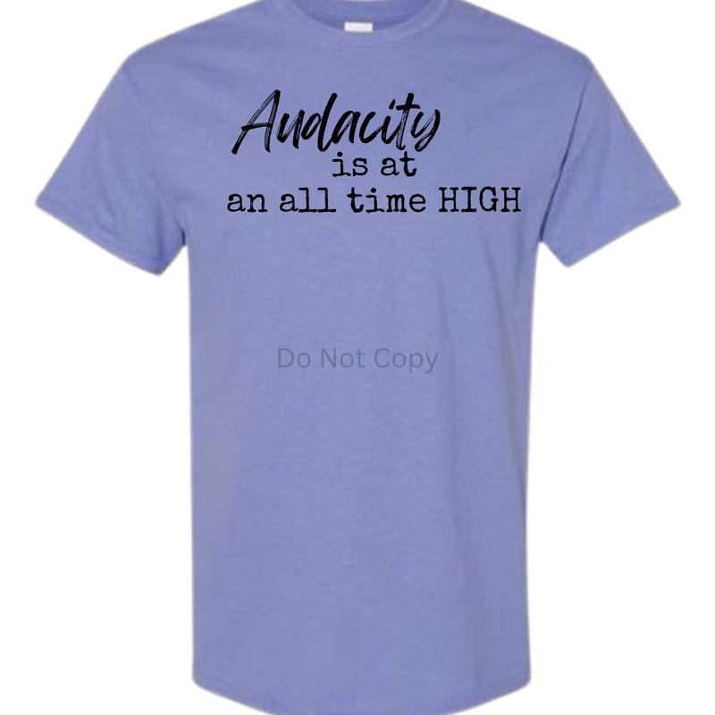 Unisex Size Audacity Is At An All Time High T Shirt - This is a completed Tee Hoodie, Sweatshirt | ZylaModa.com