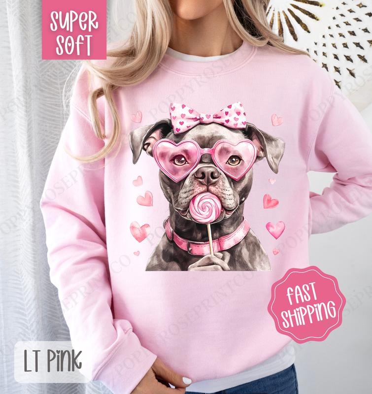 Valentine Pitbull Sweatshirt, Valentine's Day Crewneck, Cute Women's Sweater T-Shirts, Hoodie | ZylaModa.com