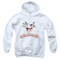 Animaniacs Animaniacs Trio - Youth Hoodie T-Shirts, Sweatshirt | ZylaModa.com