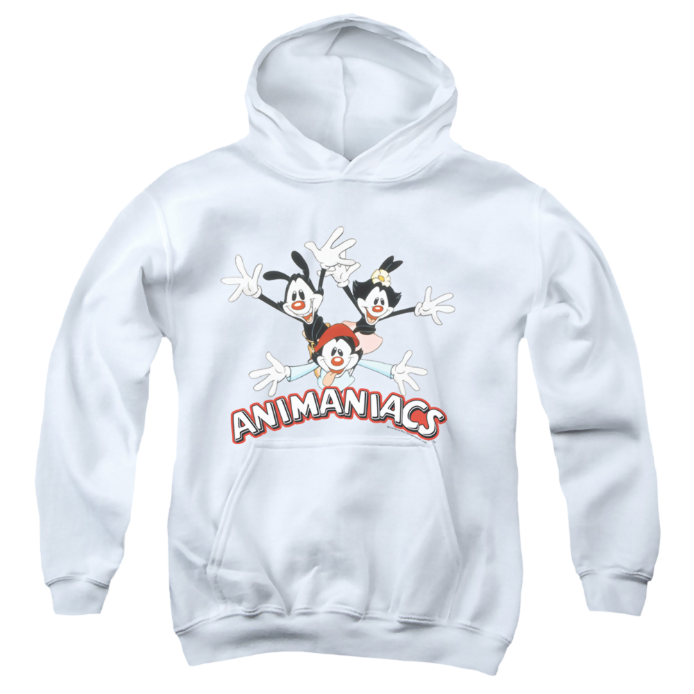 Animaniacs Animaniacs Trio - Youth Hoodie T-Shirts, Sweatshirt | ZylaModa.com