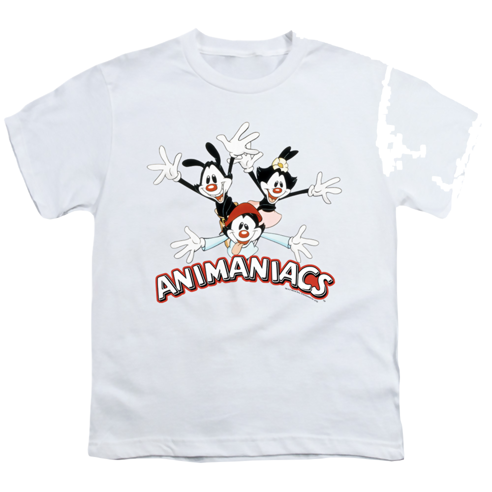Animaniacs Animaniacs Trio - Youth T-Shirt Hoodie, Sweatshirt | ZylaModa.com