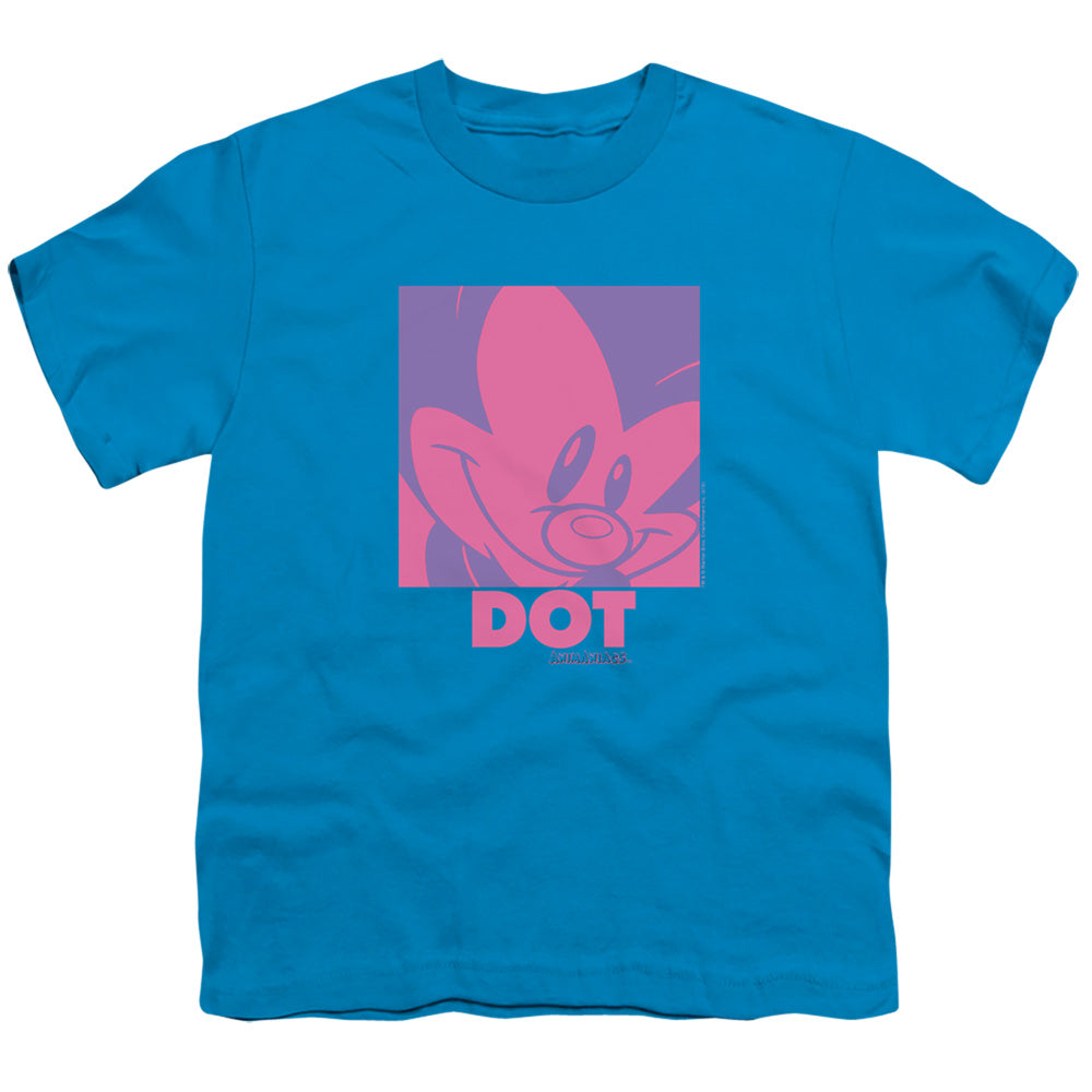 Animaniacs Pop Dot Kids Youth T Shirt Turquoise Hoodie, Sweatshirt | ZylaModa.com
