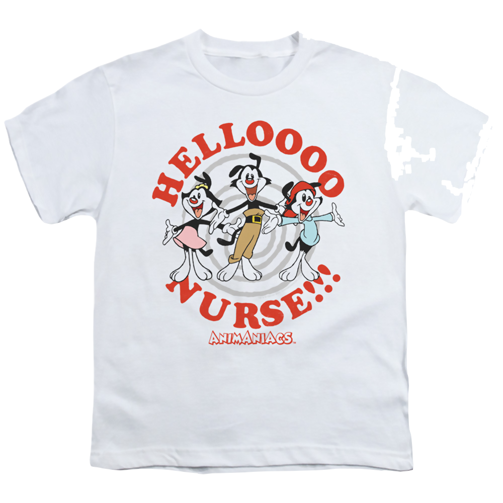 Animaniacs Hello Nurse - Youth T-Shirt Hoodie, Sweatshirt | ZylaModa.com