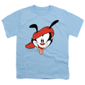 Animaniacs Wakko Head - Youth T-Shirt Hoodie, Sweatshirt | ZylaModa.com