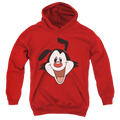Animaniacs Yakko Head - Youth Hoodie T-Shirts, Sweatshirt | ZylaModa.com