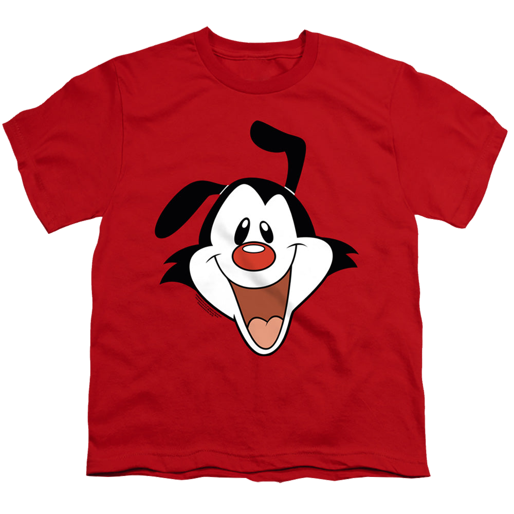 Animaniacs Yakko Head - Youth T-Shirt Hoodie, Sweatshirt | ZylaModa.com