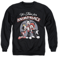 Animaniacs Its Time For - Men's Crewneck Sweatshirt T-Shirts, Hoodie | ZylaModa.com
