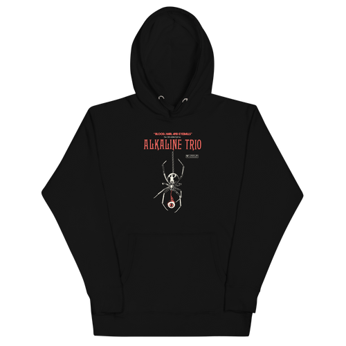 Alkaline Trio Long Play Hoodie T-Shirts, Sweatshirt | ZylaModa.com (Image 2)