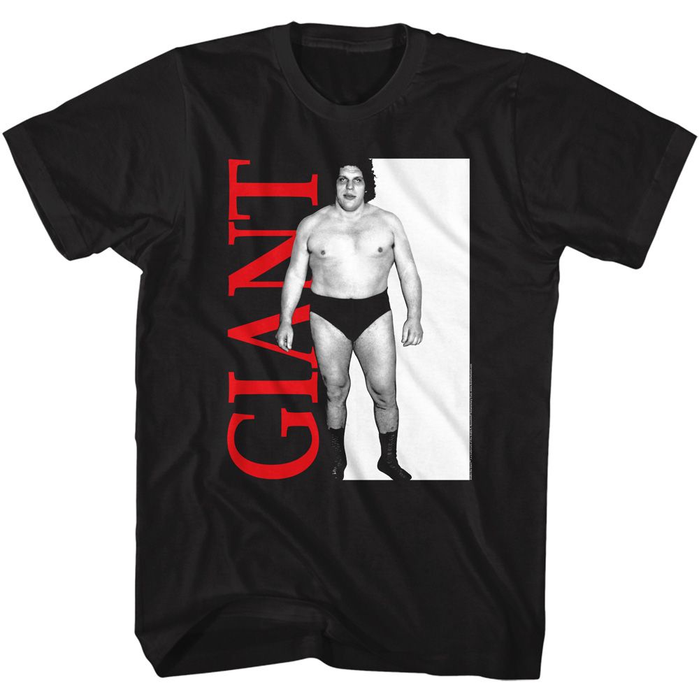 Andre The Giant - Andre Giant T-Shirt Hoodie, Sweatshirt | ZylaModa.com