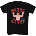 Andre The Giant - Wreck It Andre T-Shirt Hoodie, Sweatshirt | ZylaModa.com