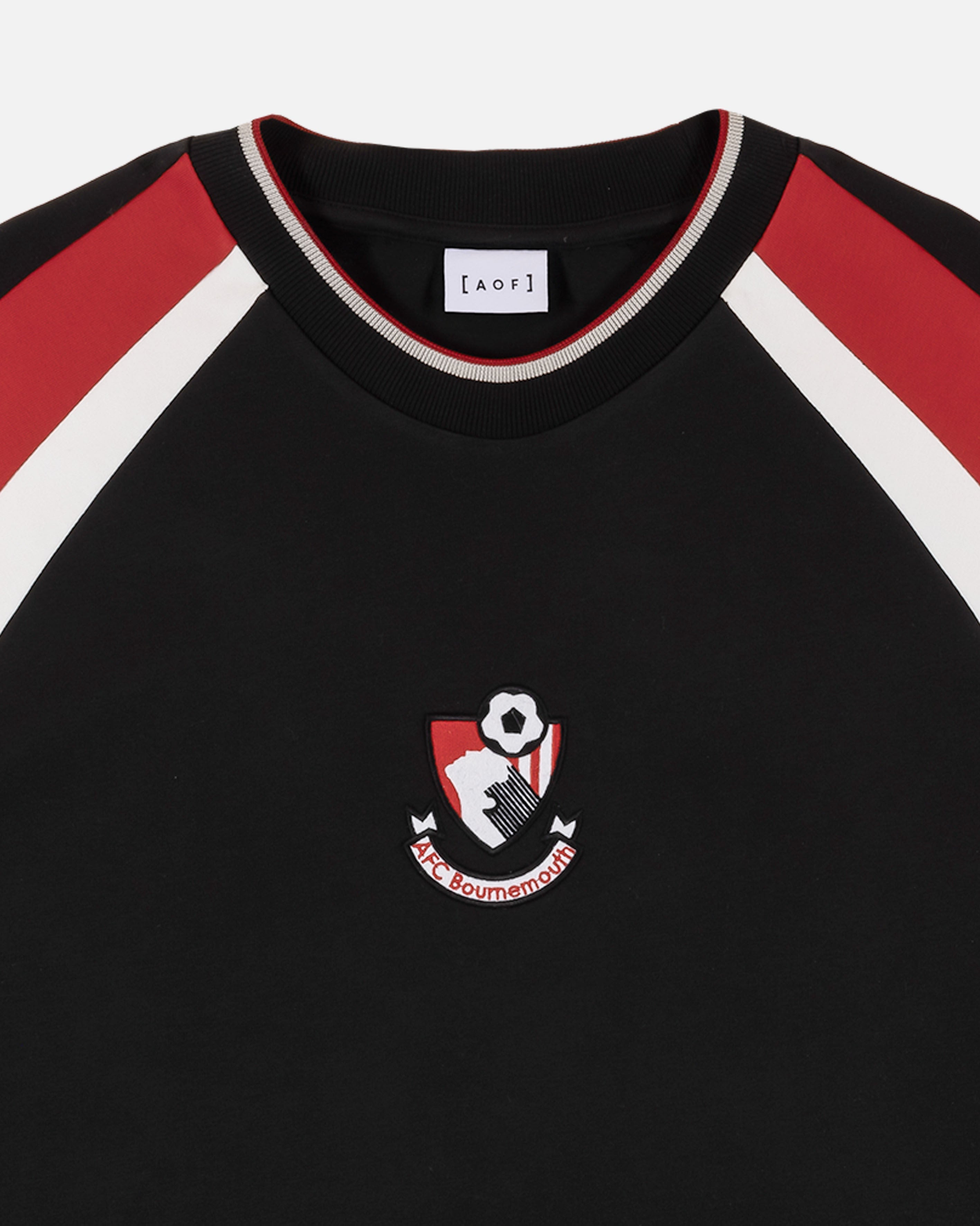 AFC Bournemouth 90s Heavyweight Panelled Tee Hoodie, Sweatshirt | ZylaModa.com (Image 2)