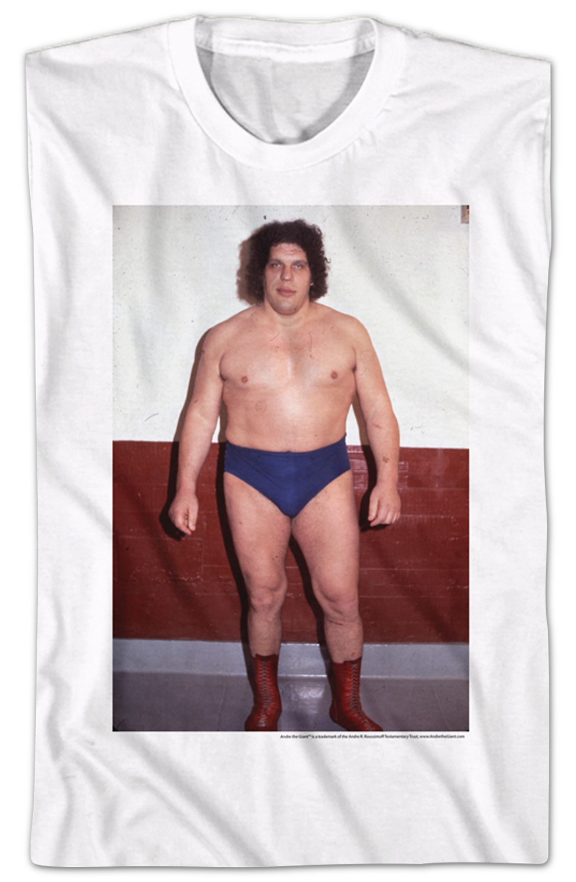 Eighth Wonder of the World Andre The Giant T-Shirt Hoodie, Sweatshirt | ZylaModa.com (Image 2)