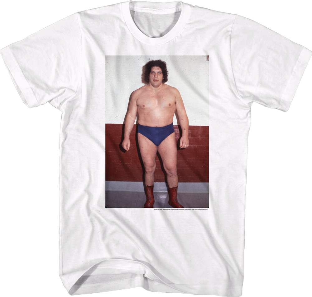 Eighth Wonder of the World Andre The Giant T-Shirt Hoodie, Sweatshirt | ZylaModa.com (Image 1)