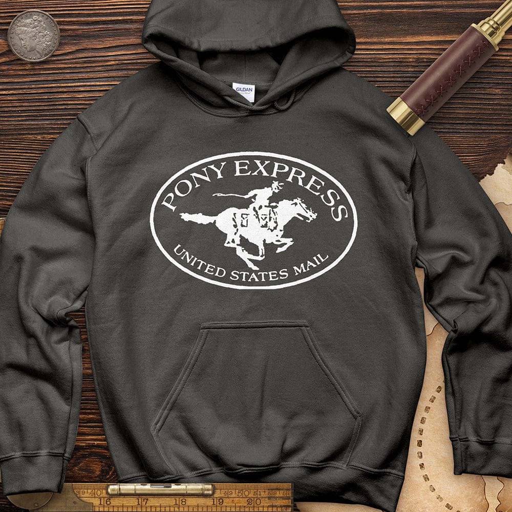 Pony Express Hoodie T-Shirts, Sweatshirt | ZylaModa.com (Image 2)