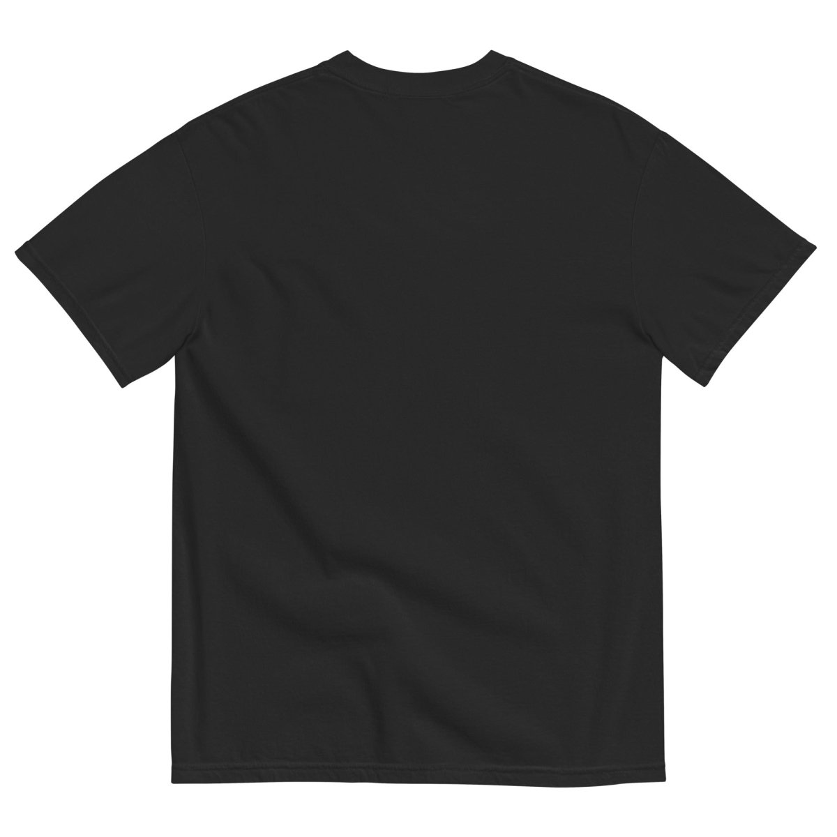 No Kings No Tyrants Black Tshirt Hoodie, Sweatshirt | ZylaModa.com (Image 2)