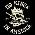 No Kings T-shirt Hoodie, Sweatshirt | ZylaModa.com (Image 1)