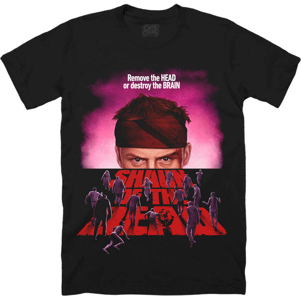 SHAUN OF THE DEAD: DESTROY THE BRAIN - T-SHIRT Hoodie, Sweatshirt | ZylaModa.com (Image 1)