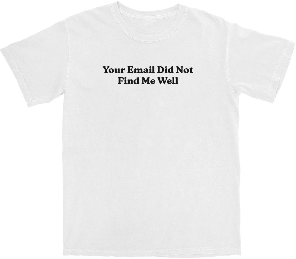Your Email Didn't Find Me Well T Shirt Hoodie, Sweatshirt | ZylaModa.com (Image 1)